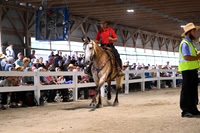AJB_0570
