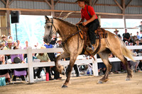AJB_0574