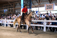 AJB_0575