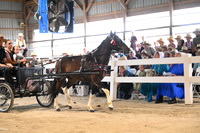 Lot #16