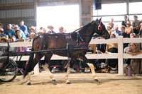 AJB_0580