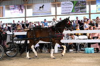 AJB_0582