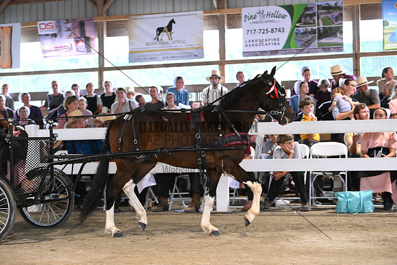 AJB_0582