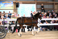 AJB_0583