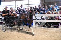 AJB_0584