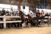 AJB_0586