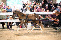 AJB_0591