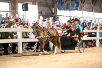 AJB_0593