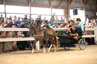 AJB_0594