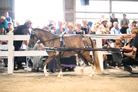AJB_0595