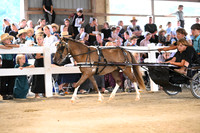 AJB_0596