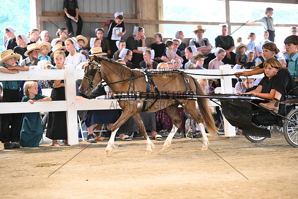 AJB_0596