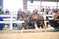 AJB_0600