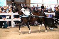 AJB_0603