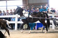 AJB_0607