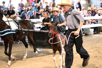 AJB_0608