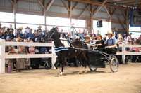 AJB_0609