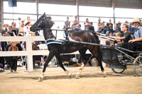 AJB_0610