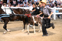 AJB_0612