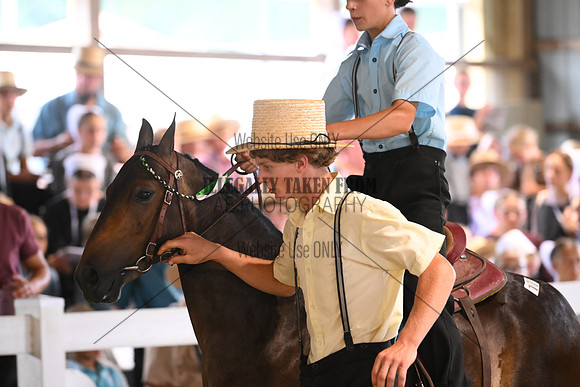 AJB_0618