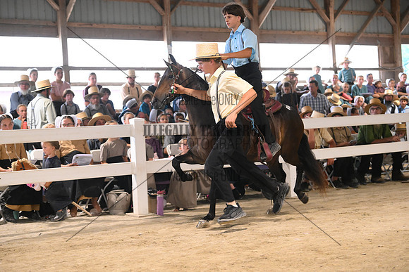 AJB_0620