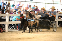 AJB_0389