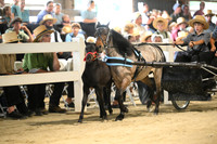 AJB_0392