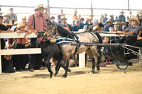 AJB_0393
