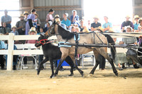 AJB_0394