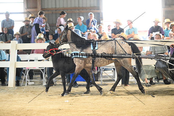 AJB_0394