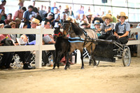 AJB_0395