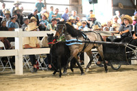 AJB_0396