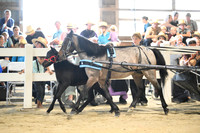 AJB_0397