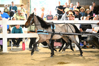 AJB_0398