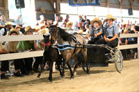 AJB_0399