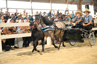 AJB_0401