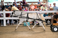 AJB_0633