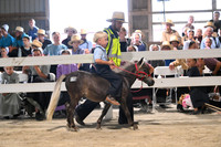 AJB_0641