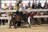 AJB_0642