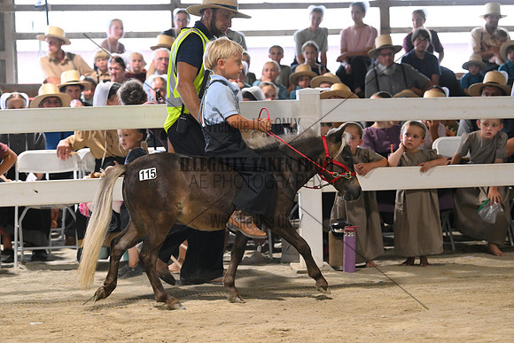 AJB_0642
