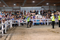 AJB_0643