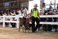 AJB_0645