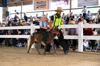 AJB_0646