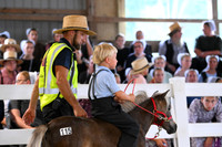 AJB_0648