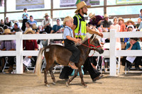 AJB_0647