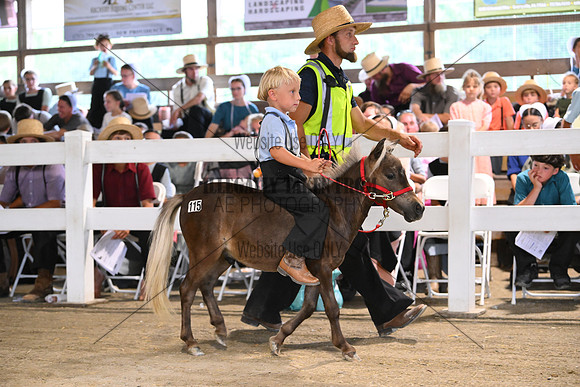 AJB_0647