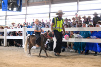 AJB_0639