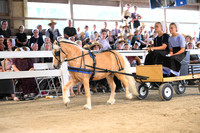 AJB_0651