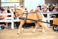 AJB_0652