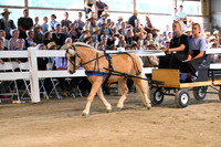 AJB_0656